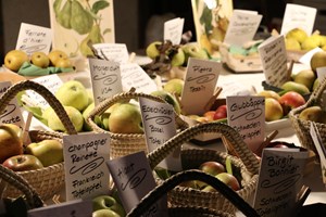 Thalheimer Dorfmärt: Der Bilderbuch-Weihnachtsmarkt Thalheimer Dorfmärt: Der Bilderbuch-Weihnachtsmarkt