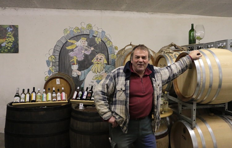 Setzt auf «Piwi»: Theodor Strasser in seinem Weinkeller in Benken. Setzt auf «Piwi»: Theodor Strasser in seinem Weinkeller in Benken.
