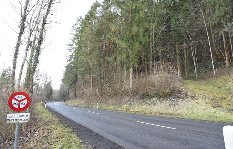 Umfangreiche Holzerarbeiten am Schutzwald «Egg» und «Hinden Egg» machen eine Vollsperrung der Andelfingerstrasse in diesem Bereich nötig. Umfangreiche Holzerarbeiten am Schutzwald «Egg» und «Hinden Egg» machen eine Vollsperrung der Andelfingerstrasse in diesem Bereich nötig.