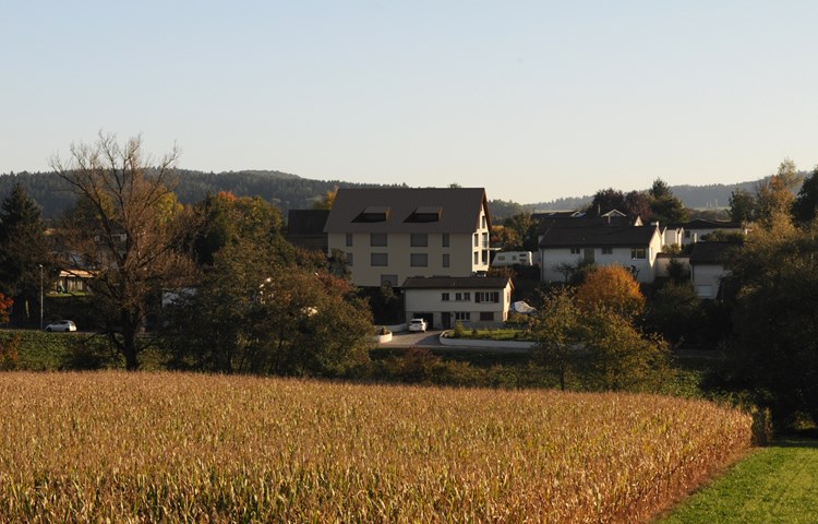 Die EMK möchte ihr Einfamilienhaus durch «ein kleineres Mehrfamilienhaus» ersetzen. Unter «kleiner» verstehen die Nachbarn etwas anderes und rekurrieren gegen das Projekt. Die EMK möchte ihr Einfamilienhaus durch «ein kleineres Mehrfamilienhaus» ersetzen. Unter «kleiner» verstehen die Nachbarn etwas anderes und rekurrieren gegen das Projekt.
